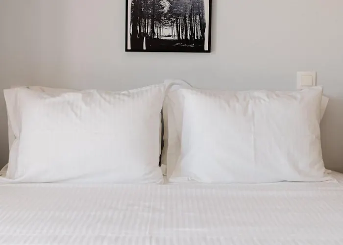 Διαμέρισμα Ariti Luxury Νικιάνα